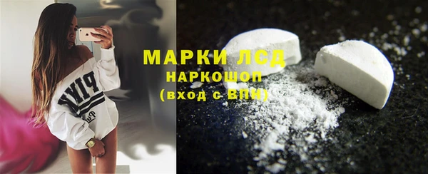 стафф Алексин