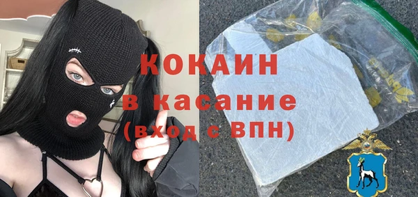 индика Алексеевка