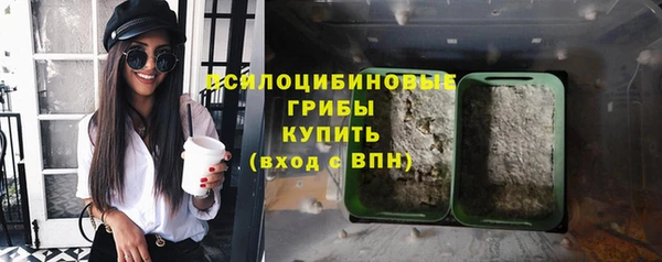 MESCALINE Алзамай