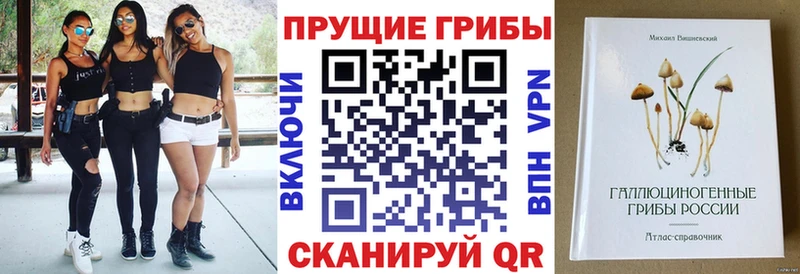 Галлюциногенные грибы прущие грибы  Ухта 
